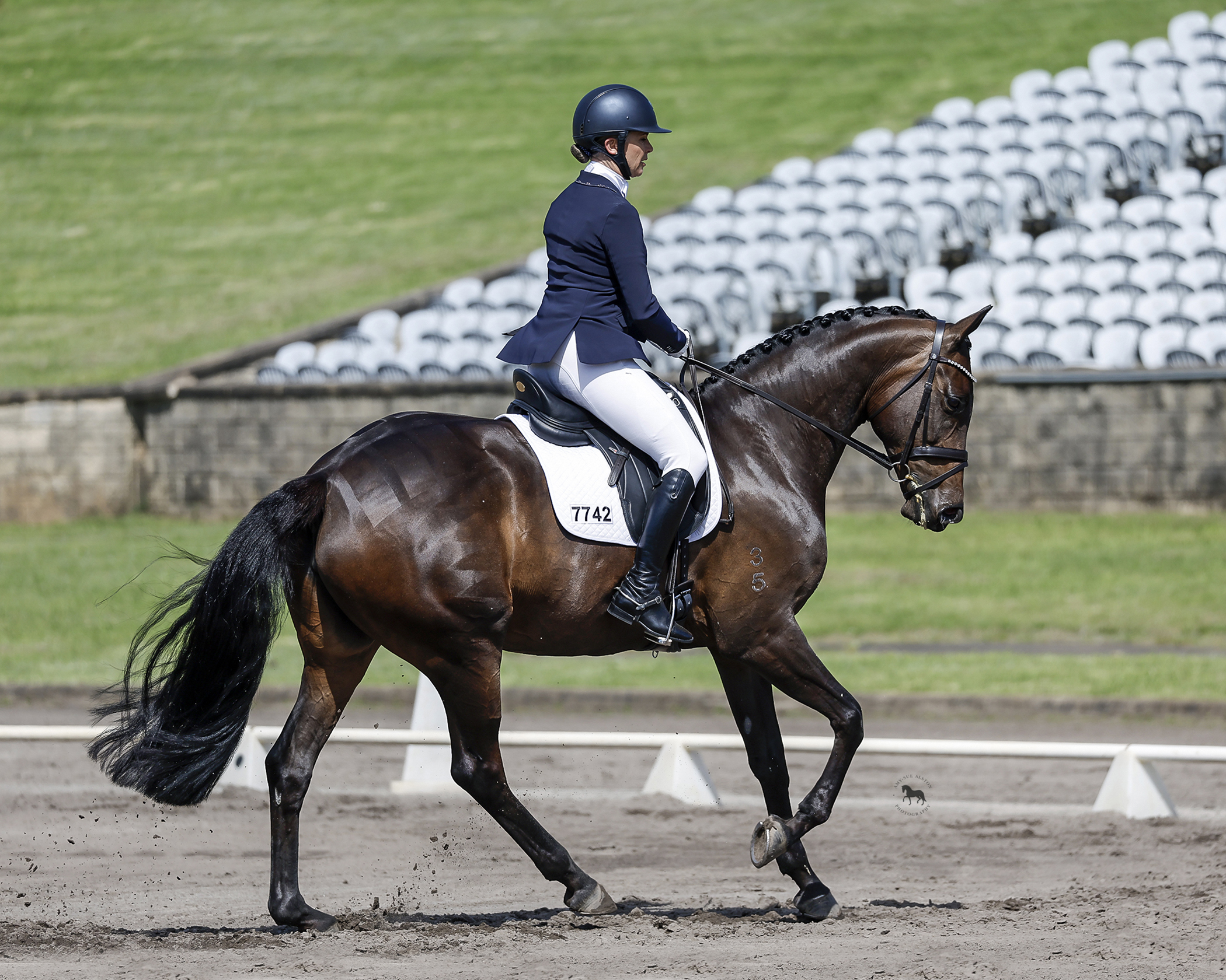 Dressage New South Wales